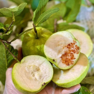 Tìm Cô Giúp Việc Tại Nhà Em, Ăn Ở Lại Nhà Em Luôn. Lương Em Gửi 10 Triệu