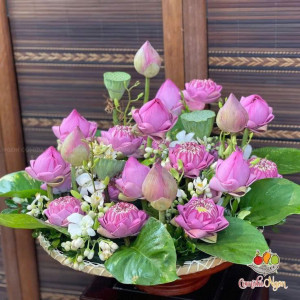 Cô Nào thực sự cần việc alo e gấp nha