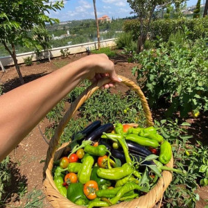 Cần Gấp Cô Giúp Việc Nhà Làm Ở Lại Với Lương Cao !!