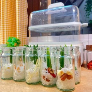 Gia dình em cần gấp ạ
