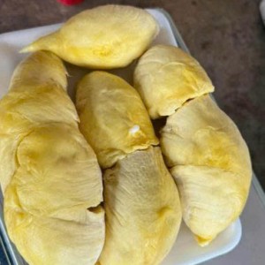 Tuyển gấp 1 cô chuyên chăm bà ạ