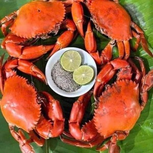Gia đình em đang cần gấp ạ