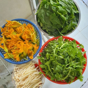 Tìm Chị Về Làm Nội Trợ Cho Gia Đình Có 2 Vợ Chồng Và 2 Cháu Được 10 Và 11 Tuổi Ở Trên Đường Bà Hom Quận Bình Tân