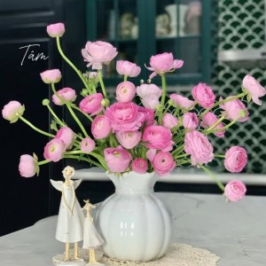 Tìm Chị Giúp Việc Nhà Cho Gia Đình Em Tại Quận Phú Nhuận
