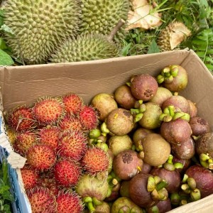 TÌM CHỊ VỀ PHỤ LAU DỌN NHÀ CỬA CÙNG VỢ CHỒNG EM NHA