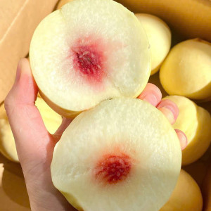 Tuyển gấp 1 cô làm sáng chiều ở Q3 ạ