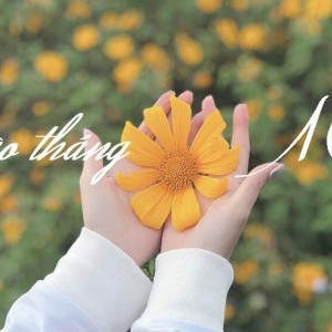 Đầu tháng rồi các cô, các chị ơi ! mau mau nhấc máy gọi em để đi làm ngay nhé !