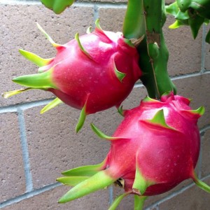 📢 TUYỂN GẤP 1 CÔ CHUYÊN CHĂM BÀ + PHỤ VIỆC NHÀ 👵🏡 LH 0966529171