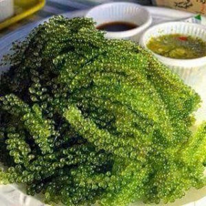 Cô nào lm được alo e nha