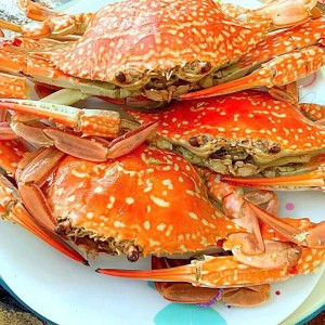 Tuyển gấp 1 cô giúp việc nhà nấu ăn cho gđ em ạ