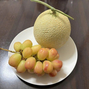 Gia đình em cần gấp lắm luôn , cô nào lm được ib e nha