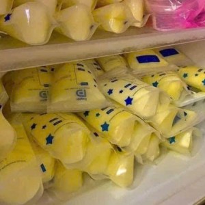 Cô nào cần việc làm alo e nha