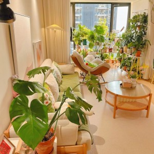 Tuyển Gấp Một Cô Giúp Việc Nhà Mặt Phố Có 1 Lầu Tại Đường Lý Thánh Tông -Tân Phú