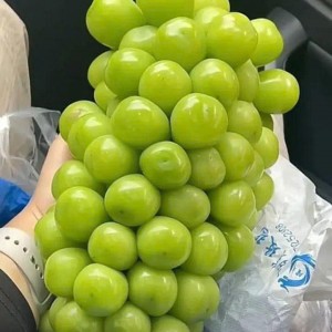 Quán em đang cần gấp ạ