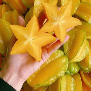 Gia đình em cần gấp ạ