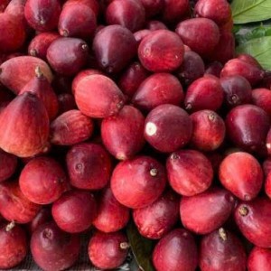 Tuyển Gấp Cô Nấu Ăn Ngon Tại Quận 3 ạ