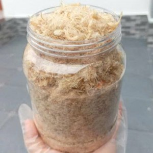 Gia đình chưa có người , e đang tuyển ạ
