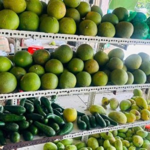Tuyển gấp 1 cô chăm bà bao ăn ở lại ạ