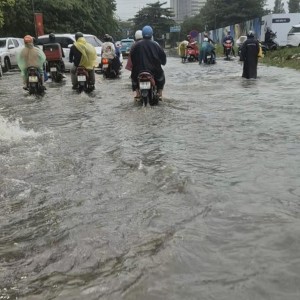 Dạo này mưa gió quá mấy cô ở quê có làm đủ thu nhập không nè ! Mau lên sài gòn liên hệ Ngọc để có chỗ làm trong nhà mà lương lại cao nữa nha