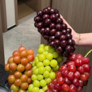 Tuyển gấp 1 cô lm ở Tây Ninh ạ