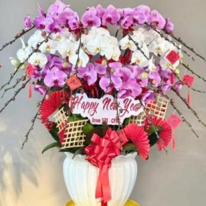 Cô nào thực sự cần việc làm alo e nha