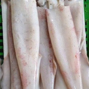 Tuyển gấp 1 cô giúp việc nhà bao ăn ở lại ạ