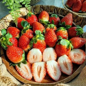 Chính chủ em cần gấp ạ