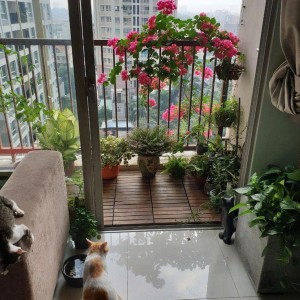 Nhà 1 trệt 1 lầu ở trên đường Lữ Gia Quận 11 tìm gấp chị giúp việc lương 11tr bao ăn ở