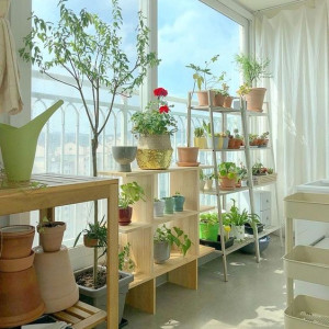 Trong Hôm Nay Em Cần Ngay Một Chị Giúp Việc Cho Gia Đình