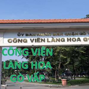 Tuyển Cô Giúp Việc Lương Tháng 10 Triệu Ở Gần Công Viên Làng Hoa Gò Vấp