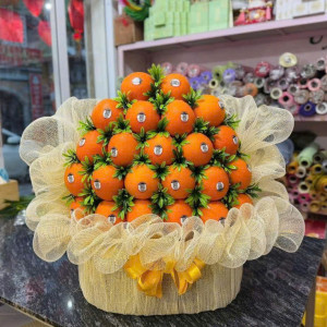 Tuyển gấp 1 cô chuyên chăm bé 4 tháng cho gđ em ạ