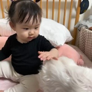 Bé nhà em được 9 tháng, cần 1 chị chuyên chăm bé. Có thể trông bé, pha sữa cho bé.