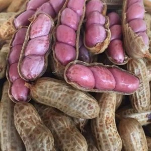 CẦN CÔ GIÚP VIỆC NHÀ – LH 0966529171