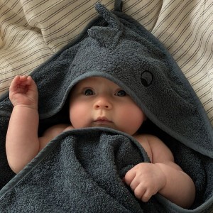 Gia đình vợ chồng trẻ ở quận Bình Thạnh cần tìm một cô bảo mẫu hiền lành, thương trẻ để chăm bé mới 2 tháng tuổi.