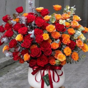 Tuyển gấp 1 cô chuyên chăm bé sơ sinh ạ