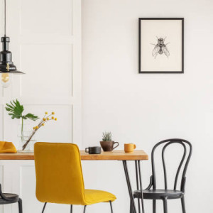 Cần Gấp Chị Giúp Việc Nhà 1 Trệt 1 Lầu Trên Đường Dương Quảng Hàm Quận Gò Vấp Cho Gia Đình Em.