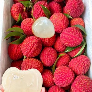 Cô nào thực sự cần việc cứ lh em ạ