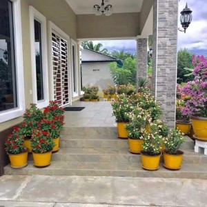 Cần 1 cô dưới 60 tuổi sức khoẻ tốt làm về làm việc nhà cho gia đình em có 2 vợ chồng và 1 cháu gái đã lớn