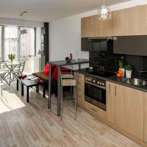 Em Đang Cần 1 Cô Giúp Việc Gần Chợ Hồ Thị Kỷ Quận 10 Lương 12 Triệu