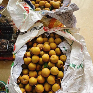 Nay đầu tuần em cần 1 cô giúp việc nhà bao ăn ở. Lương khởi điểm 11 triệu