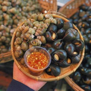 CẦN GẤP CÔ CHĂM NGƯỜI LỚN TUỔI – ĐI LÀM NGAY LH : 0966529171