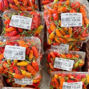 Gia đình em cần gấp ạ