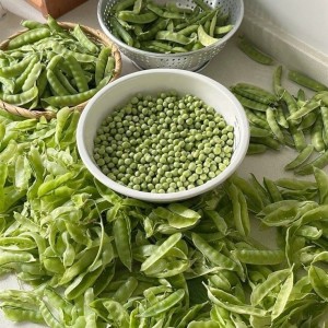 TUYỂN GẤP – CHỊ GIÚP VIỆC NHÀ Ở LẠI 