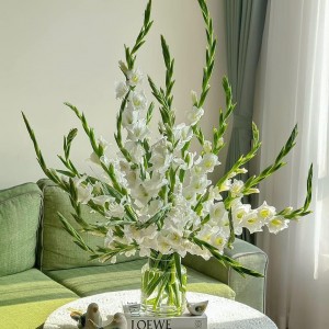 Lương 14 triệu cần tìm cô giúp việc nhà (bao ăn ở) gần ngay bưu điện sài gòn quận 1
