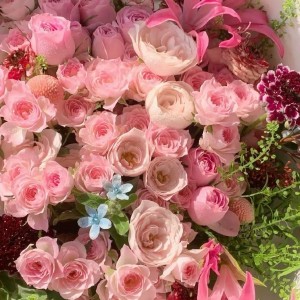 Em đi làm cả ngày, nhà cửa không ai trông coi nên cần một cô về phụ dọn dẹp và nấu ăn bữa tối