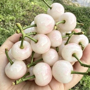 📣 Cần Gấp 5 Cô Chuyên Chăm Bé Lh 0966529171 Nhận Việc Ngay