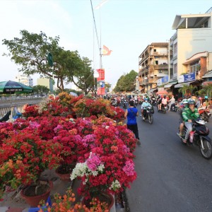 Ngay Chợ Hoa Bến Bình Đông, Quận 8 – Gia Đình Cần Tìm Cô Giúp Việc Ở Lại