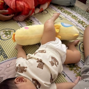 Cần tìm 1 chị có kinh nghiệm chăm bé về phụ chăm em bé được  3 tháng tuổi tại đường Vườn Lài Tân Phú