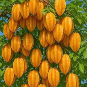 Chính chủ em cần gấp 1 cô lm sáng chiều ở Quận Bình Thạnh ạ