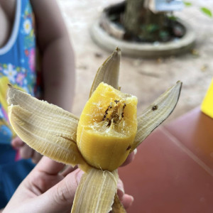 Nay e tìm cô làm việc nhà cho gia đình 3 người lớn không có trẻ nhỏ hay ông bà gì cả